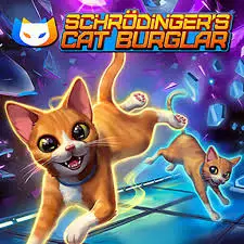 Schrodinger's Cat Burglar